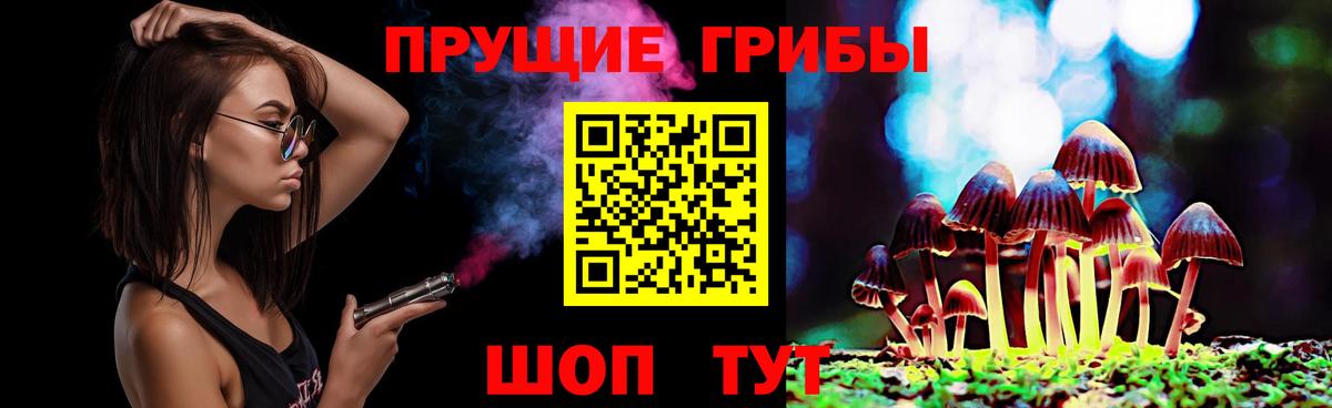 Псилоцибиновые грибы GOLDEN TEACHER Томск